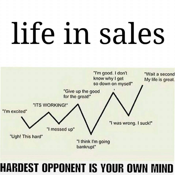 life-in-sales meme