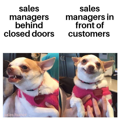 sales managers behind closed doors meme
