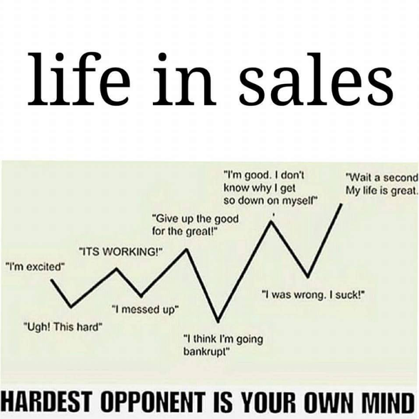 life in sales meme